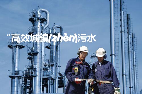 “高效城鎮(zhèn)污水處理流程，守護(hù)碧水藍(lán)天新篇章”